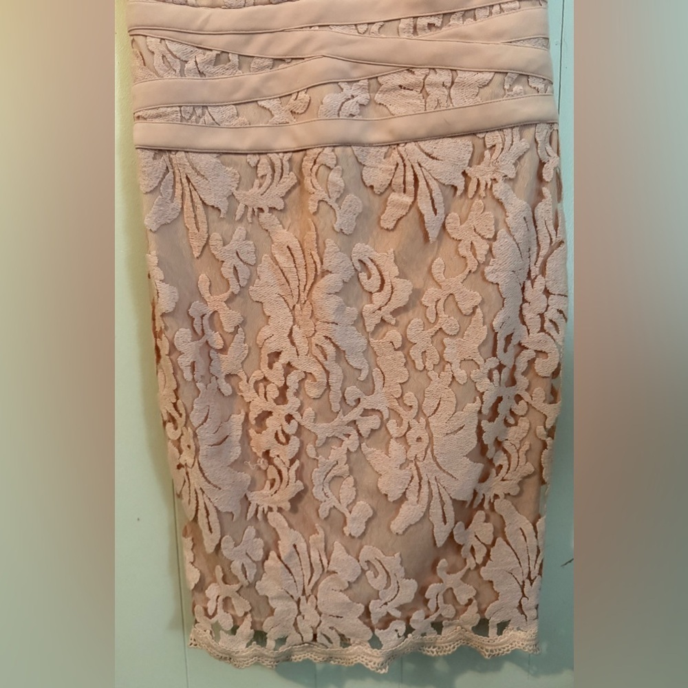 Joseph Ribkoff Pink Lace Dress, Size 10 - Picture 2 of 9